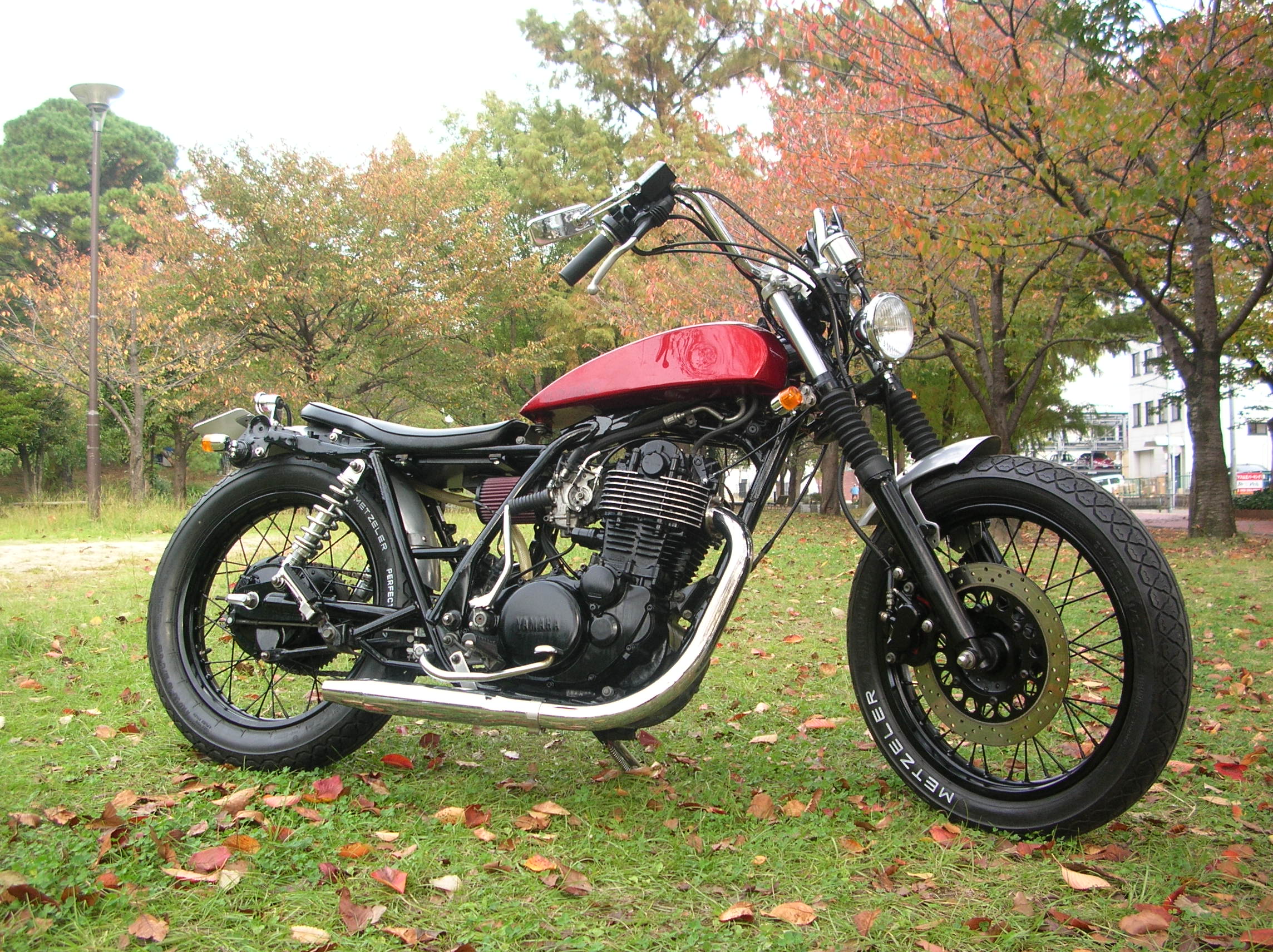 DSCN9365.JPG