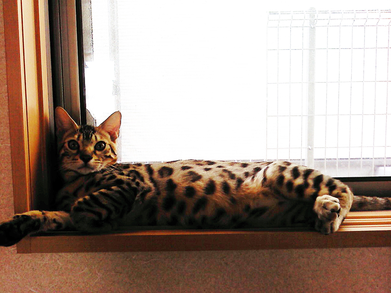 choco240820.jpg