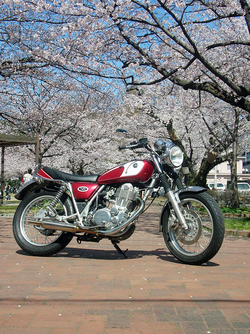 srm2.jpg