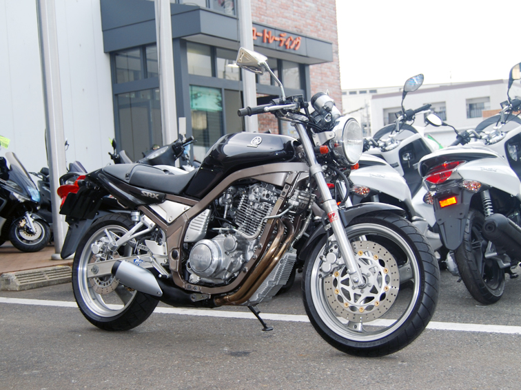 23925srx6sibayamasama.jpg