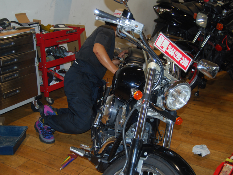 DSC_custom_2.jpg