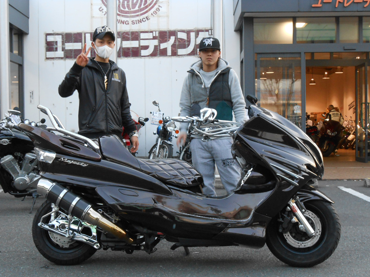 DSC_maje_brown_hashimoto.jpg