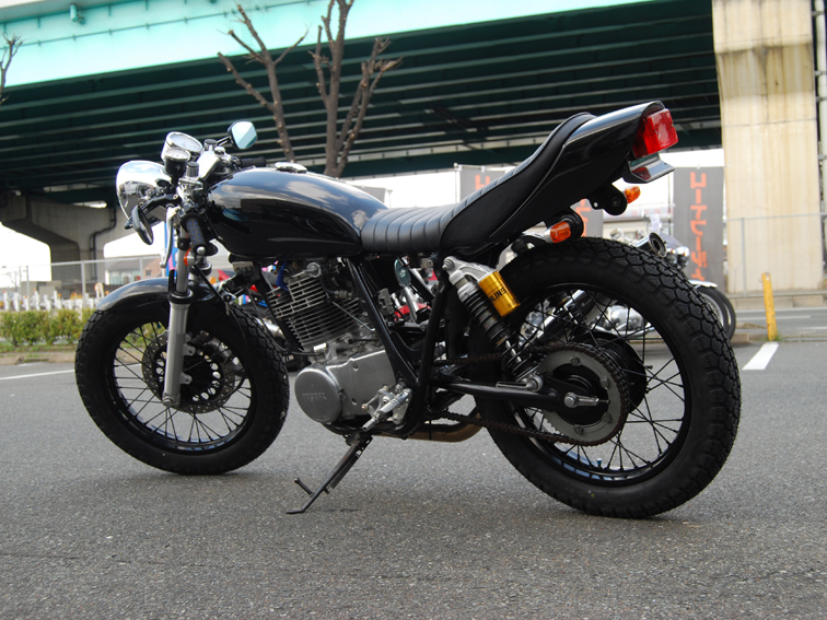 DSC_rara_sr2.jpg