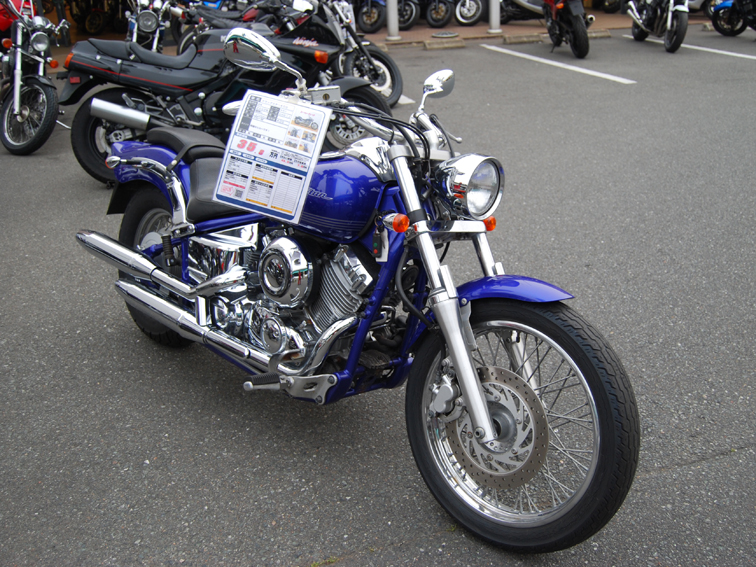 DSC_tokusen_ds_blue1.jpg