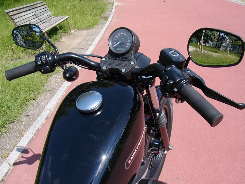 hry090110.jpg