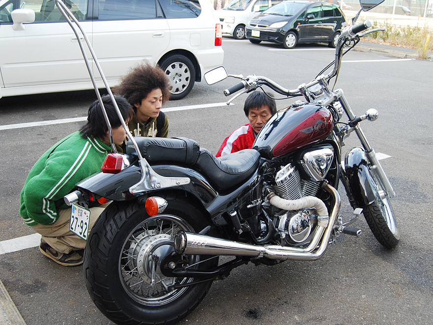 steed01.jpg