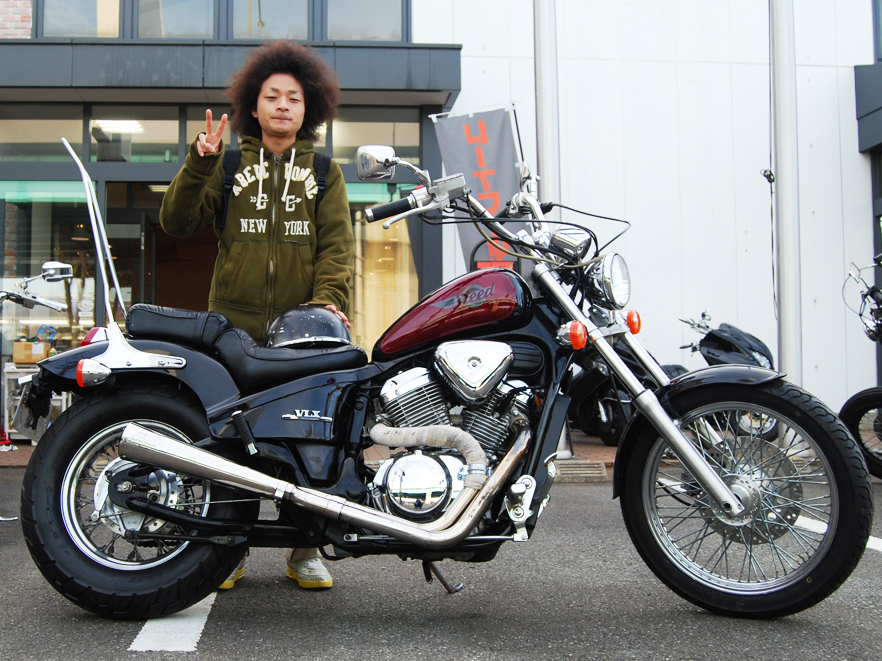 steed02.jpg