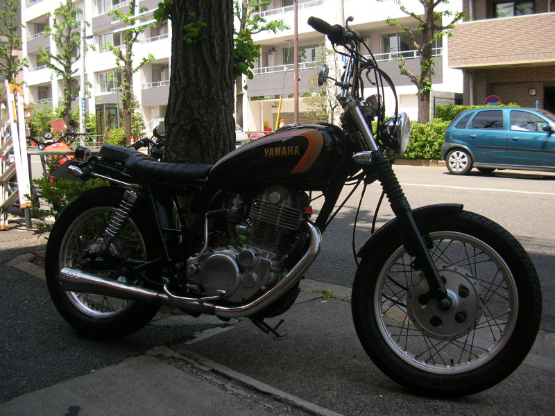 1273377347_s.jpg