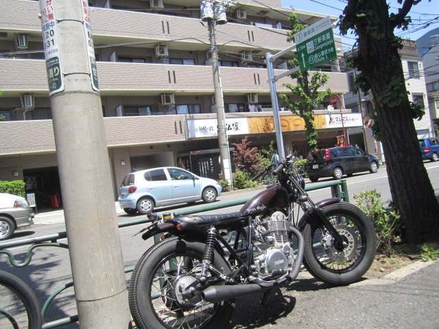 IMG_4379.JPG
